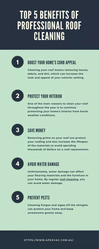 Top 5 Benefits of Professional Roof Cleaning