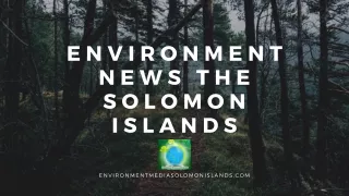 Top Environment news Solomon Islands