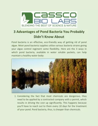 3 advantages of pond bacteria you probably didn