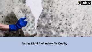 Testing Mold And Indoor Air Quality