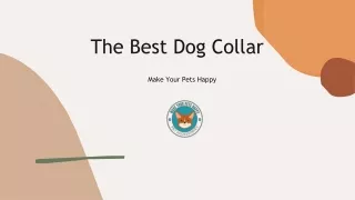 The Best Dog Collar