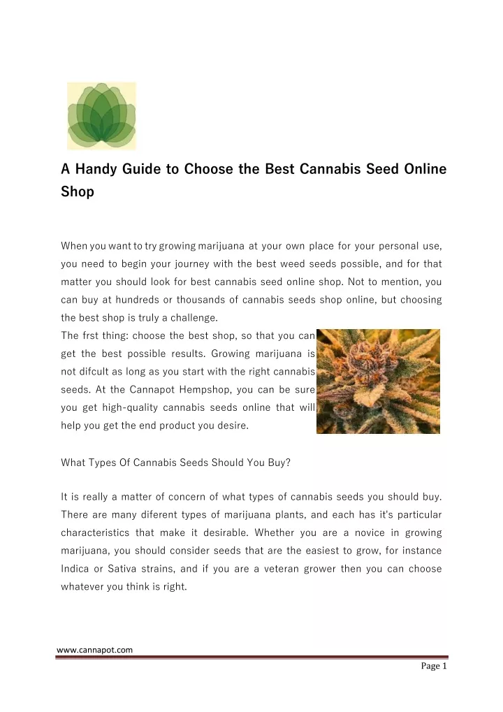 a handy guide to choose the best cannabis seed