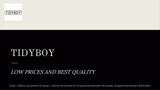 tidyboy