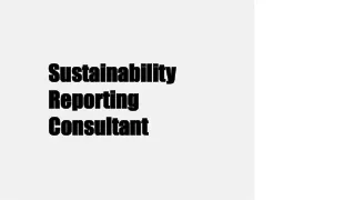 sustainability reporting consultant