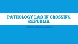 pathology lab in crossing republik