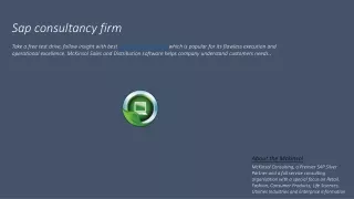 sap consultancy firm take a free test drive