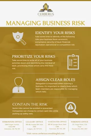 Managing Business Risk