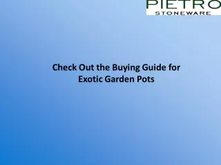 Check Out the Buying Guide for Exotic Garden Pots