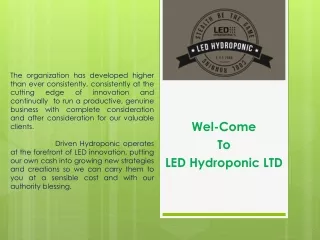 Best Led Grow Lights