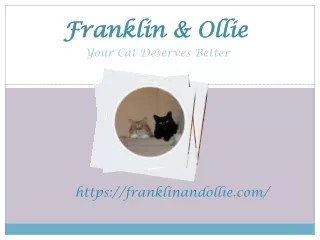franklin ollie