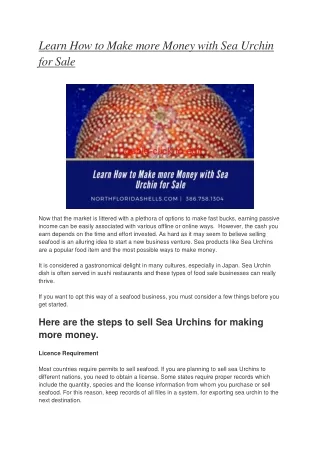 Learn How to Make more Money with Sea Urchin for Sale
