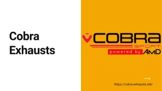cobra exhausts