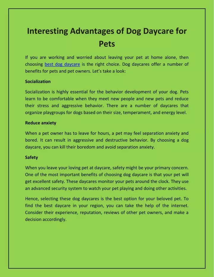 interesting advantages of dog daycare for pets