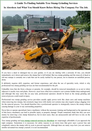 a guide to finding suitable tree stump grinding