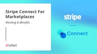 stripe connect for marketplaces working benefits