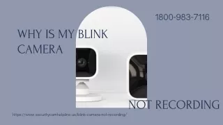 1800 983 7116