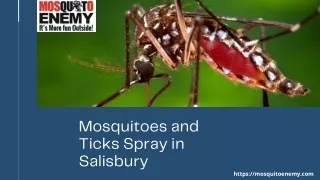 Mosquitoes and Ticks Spray in Salisbury