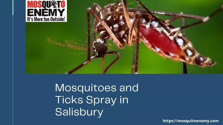 mosquitoes and ticks spray in salisbury