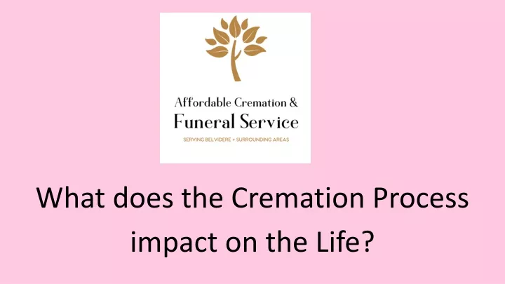 what does the cremation process impact on the life