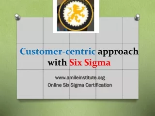 Get it done Green Belt Six Sigma Certification Online with Amile institute USA based.