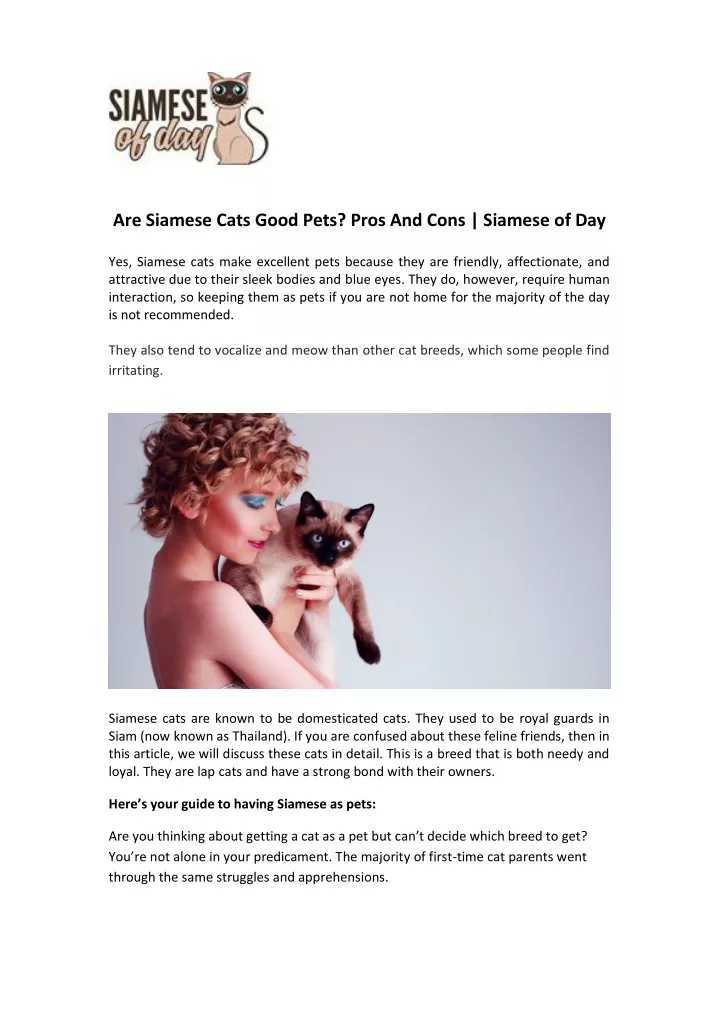 are siamese cats good pets pros and cons siamese