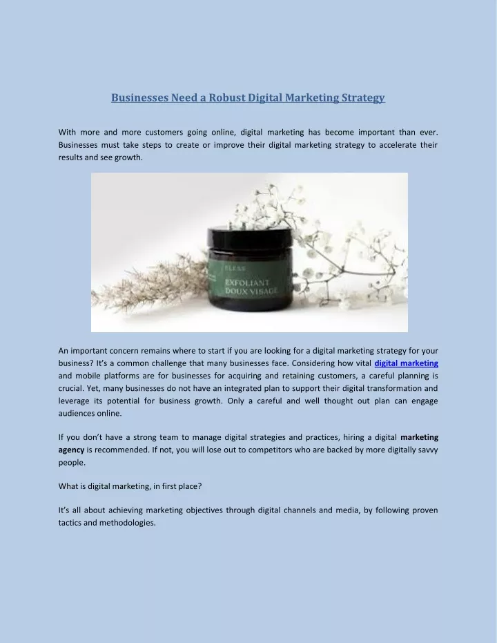 businesses need a robust digital marketing