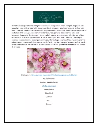 de nombreuses plateformes en ligne vendent