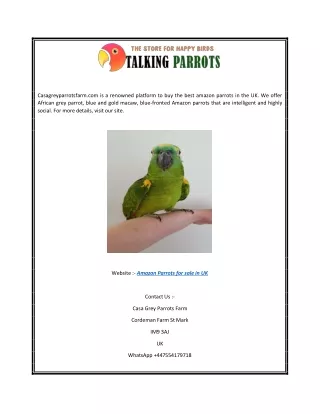 Amazon Parrots for Sale in UK | Casagreyparrotsfarm.com