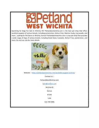 Puppies in Wichita | Petlandwestwichita.com