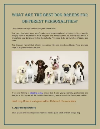 what are the best dog breeds for different