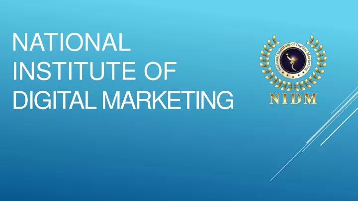 national institute of digital marketing