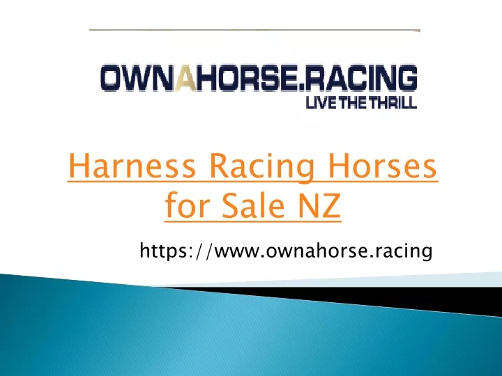 harness racing horses for sale nz