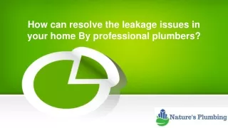 How can resolve the leakage issues in your home By professional plumbers?