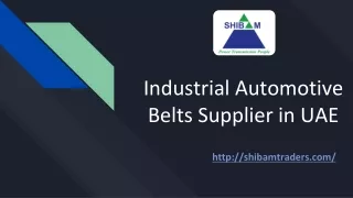 Find the Industrial Automotive Belts Supplier in UAE