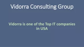 Vidorra is one of the Top IT companies in USA Texas
