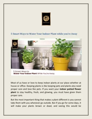 5 Smart Ways to Water Your Indoor Plant while you’re Away