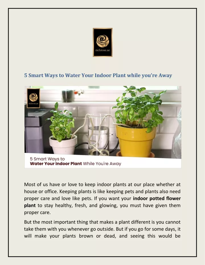 5 smart ways to water your indoor plant while