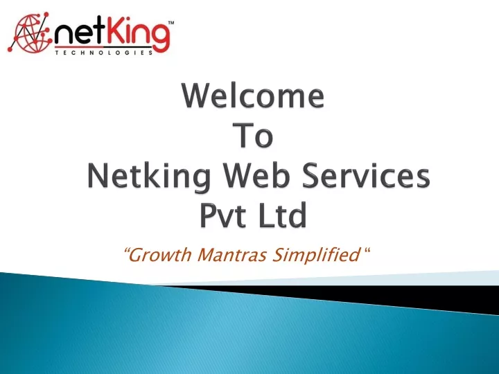 welcome to netking web services pvt ltd