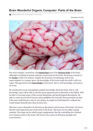 brain wonderful organic computer parts