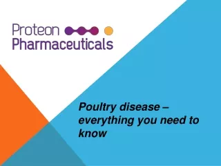 Poultry disease - everything you need to know