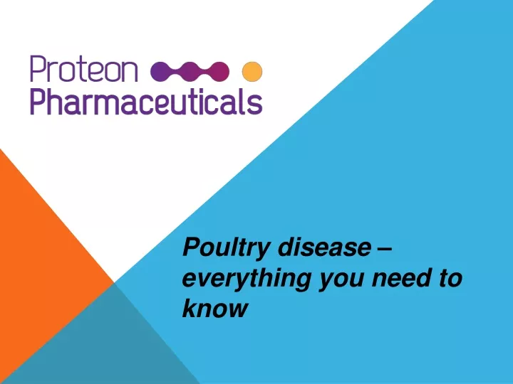 poultry disease everything you need to know