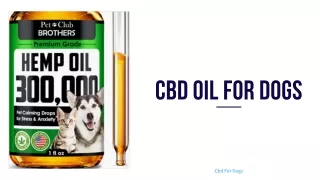 CBD Oil for Dogs