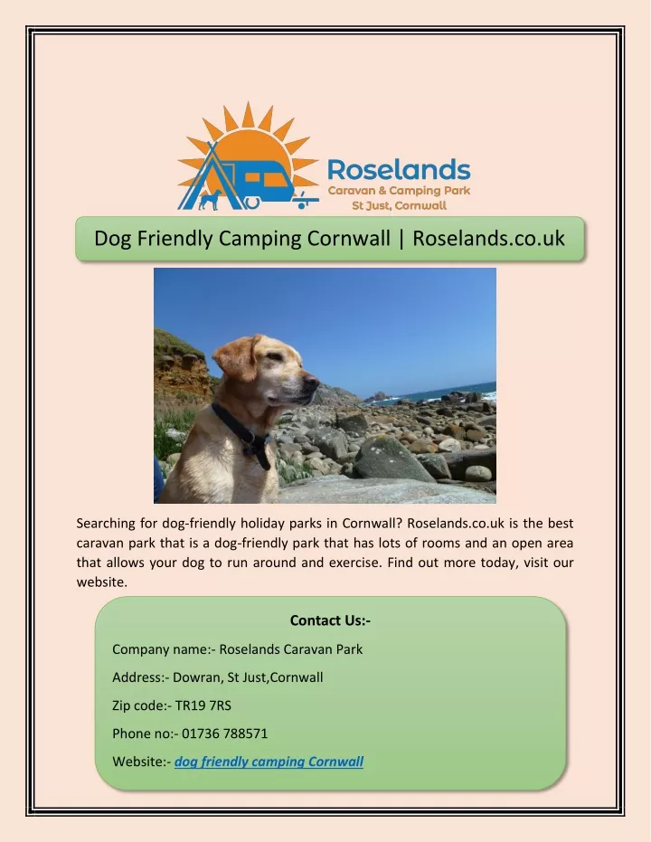 dog friendly camping cornwall roselands co uk