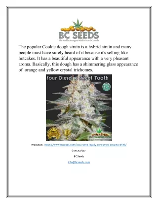 the popular cookie dough strain is a hybrid