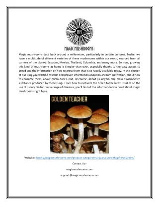 magic mushrooms date back around a millennium