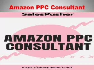 amazon ppc consultant