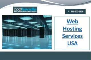 web hostin g services usa