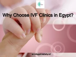 Why Choose IVF Clinics in Egypt?