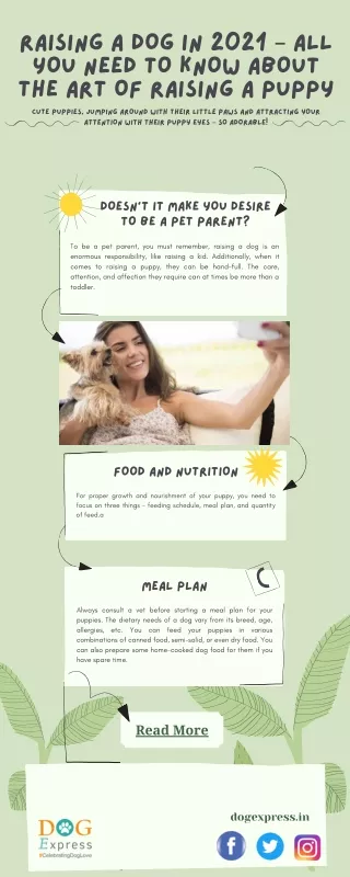 raising a dog in 2021 all you need to know about