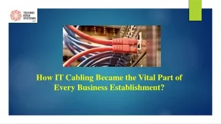 how it cabling became the vital part of every business establishment